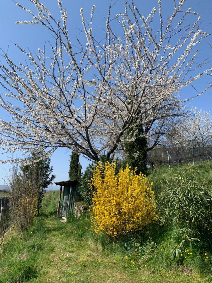 Appartamento Tiemi Coldrerio Exterior photo